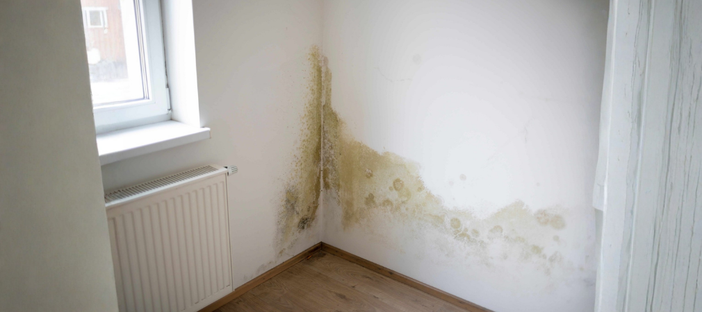 Profesyonel Rutubet Kurutma Çözümleri: Sağlıklı Yaşam Alanları